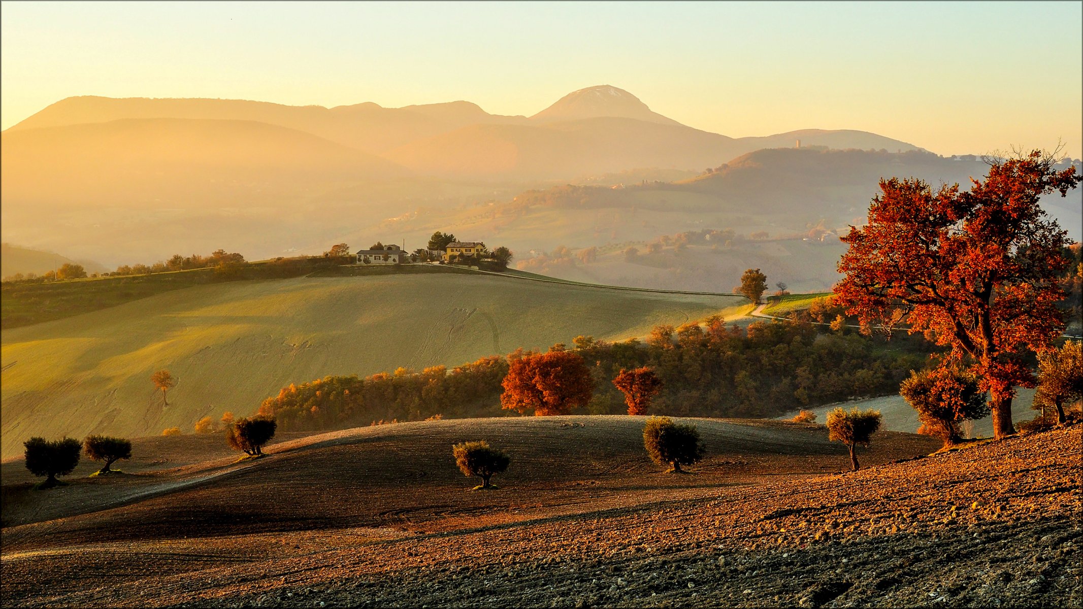 cielo mattina alba campi alberi casa