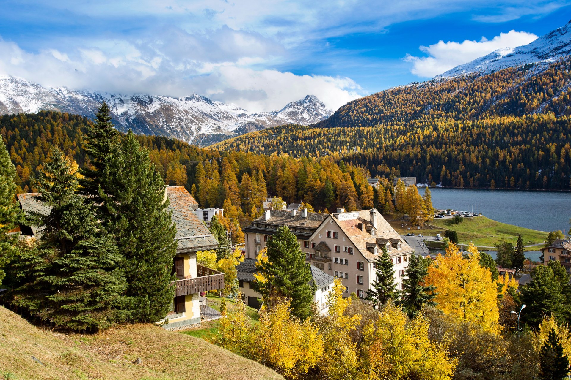 suiza st. moritz montañas bosque río casas otoño