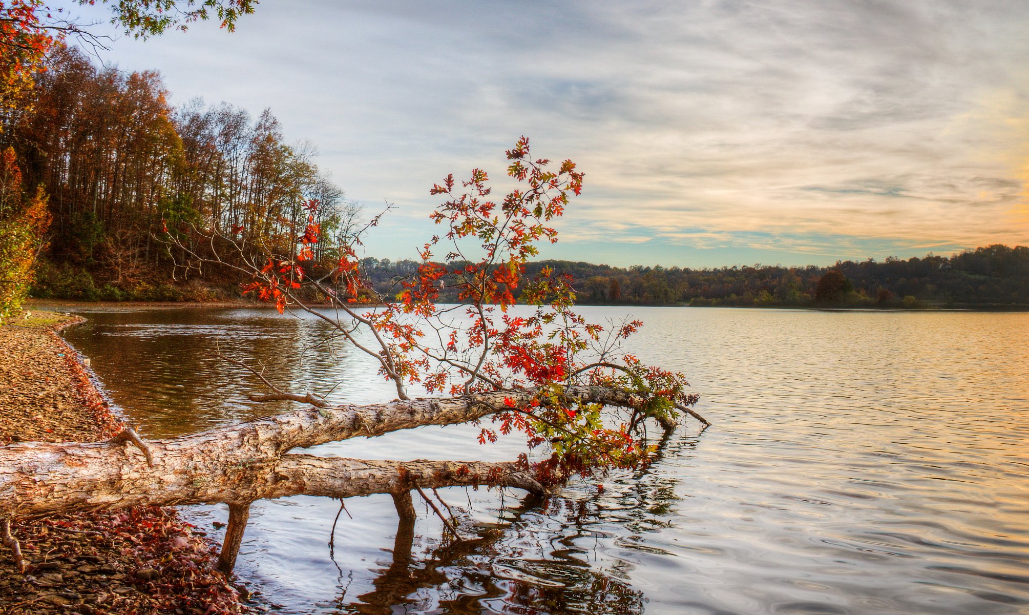 fluss herbst landschaft natur foto