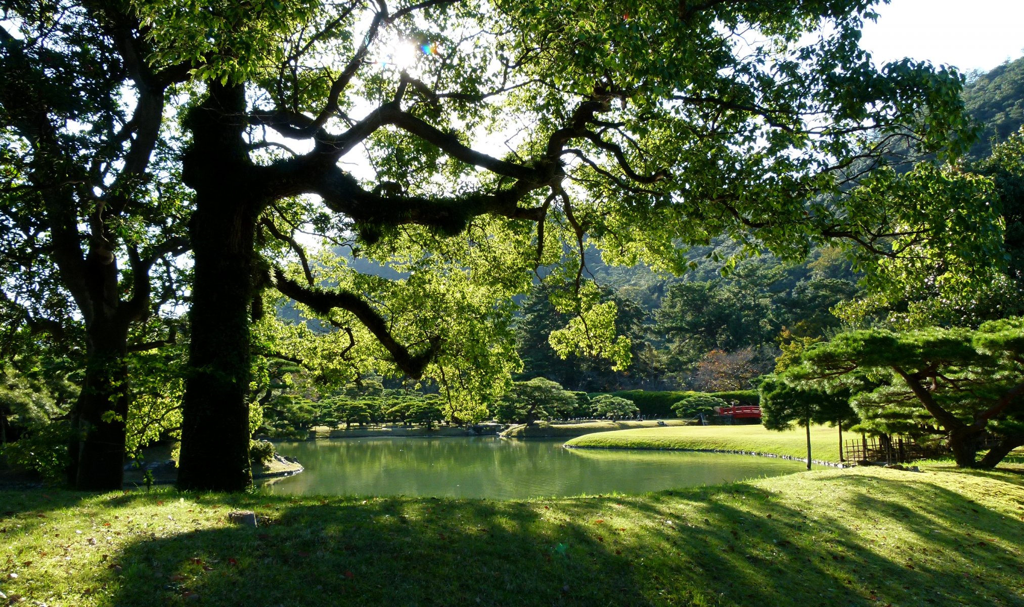 japan takamatsu rizurin garten park garten teich gras bäume zweige laub sonne