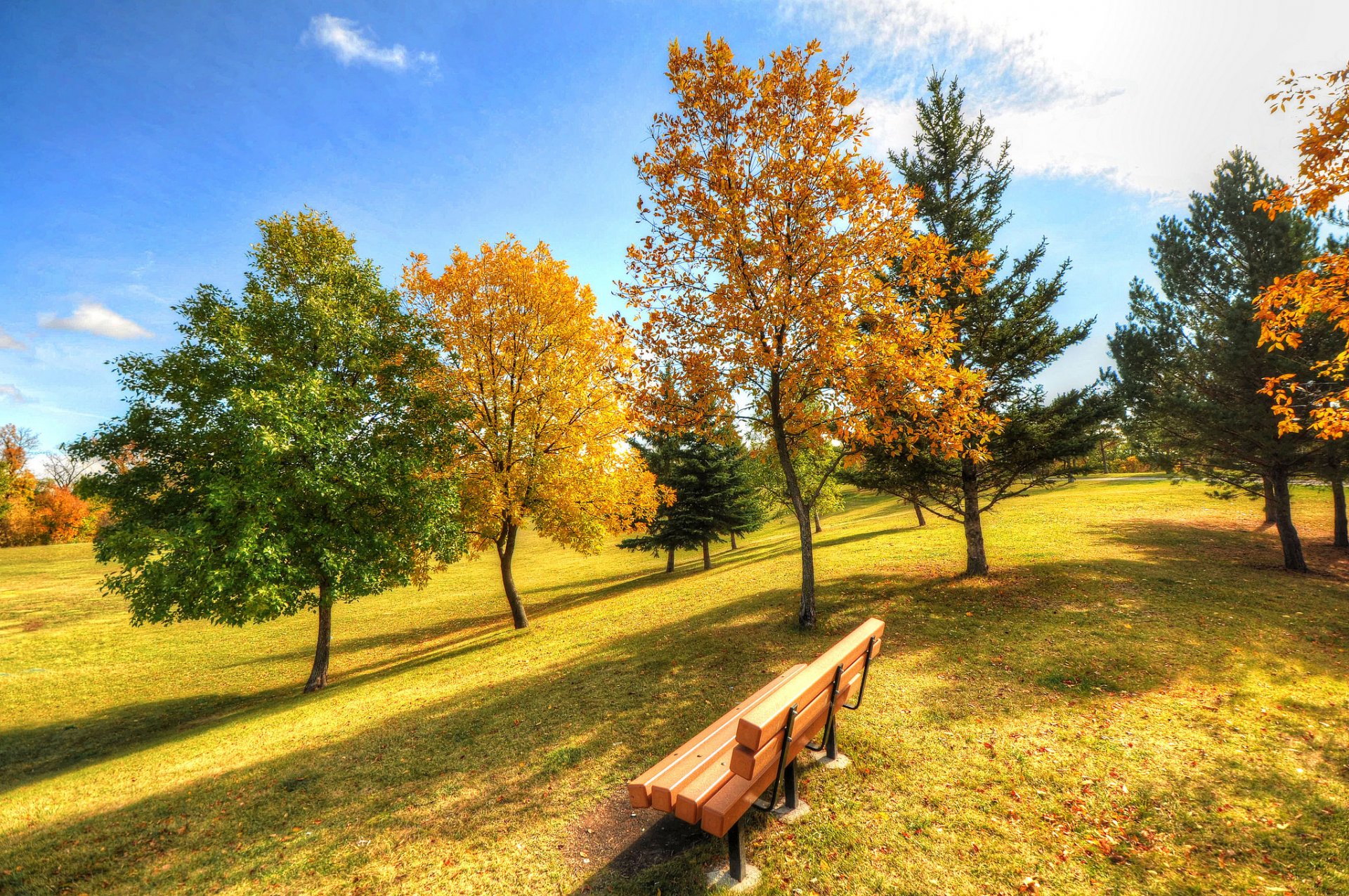 cielo parque banco hierba árboles otoño