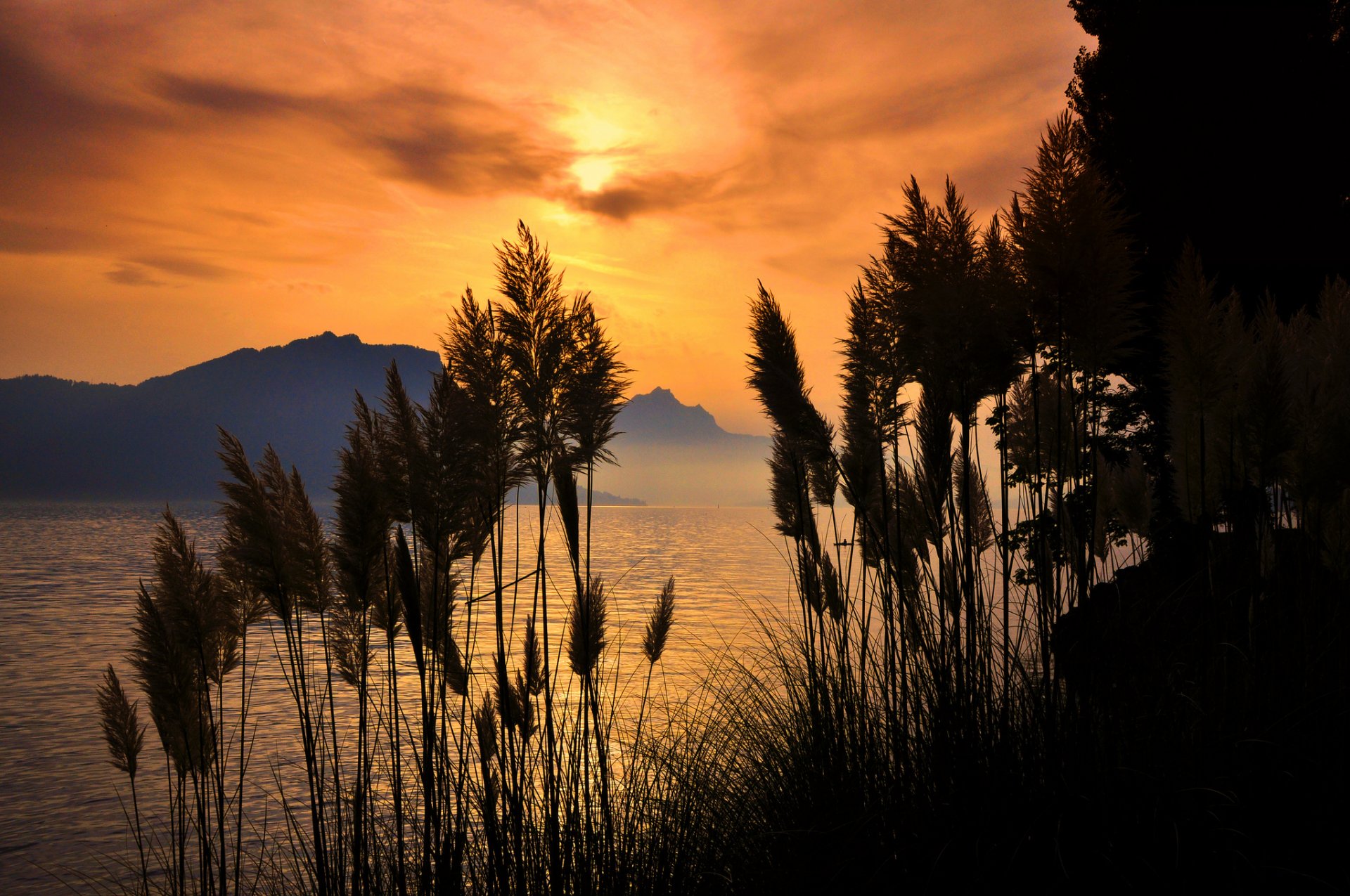 berge meer bucht sonnenuntergang gras rispen silhouette