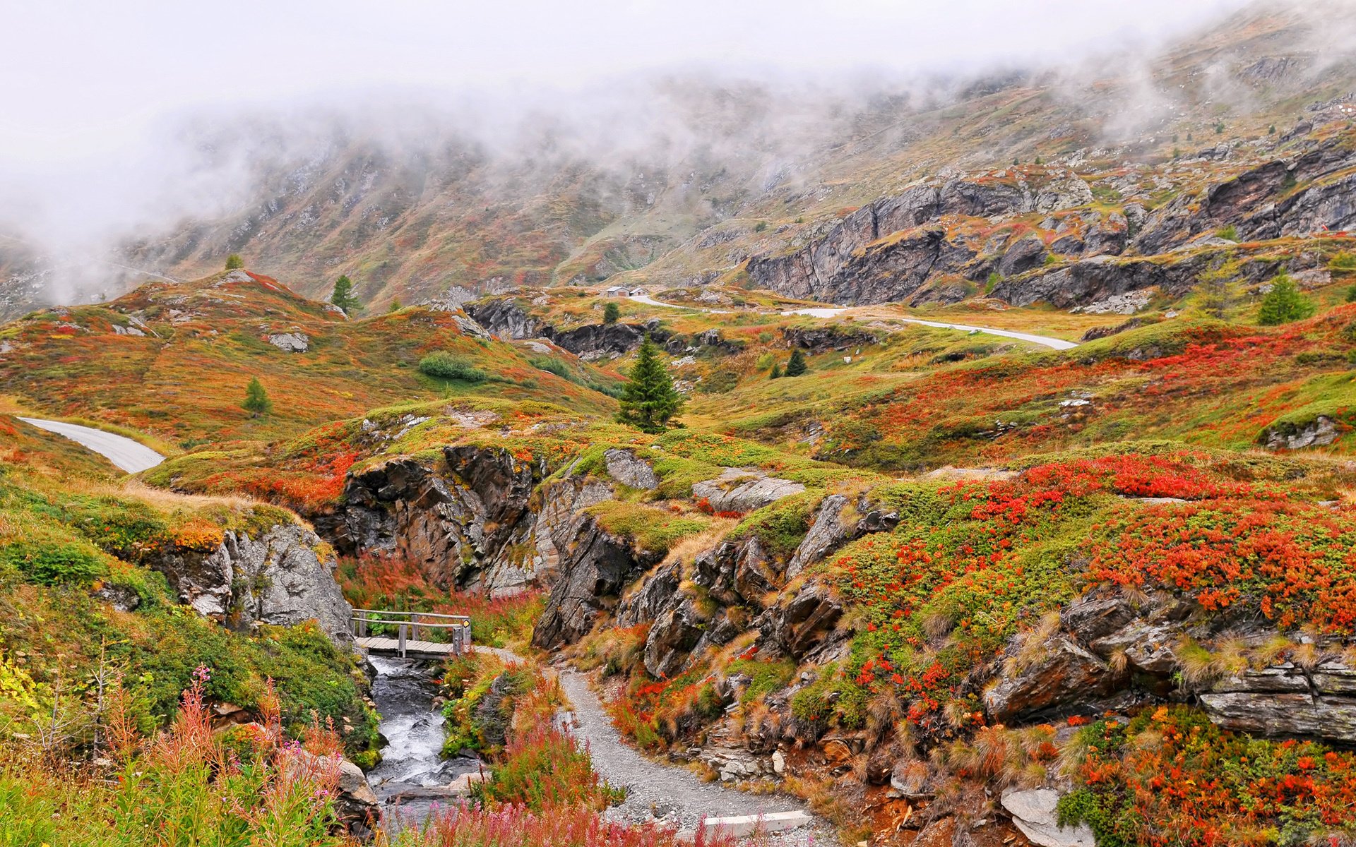 mountain clouds fog rock river creek bridge track grass flower