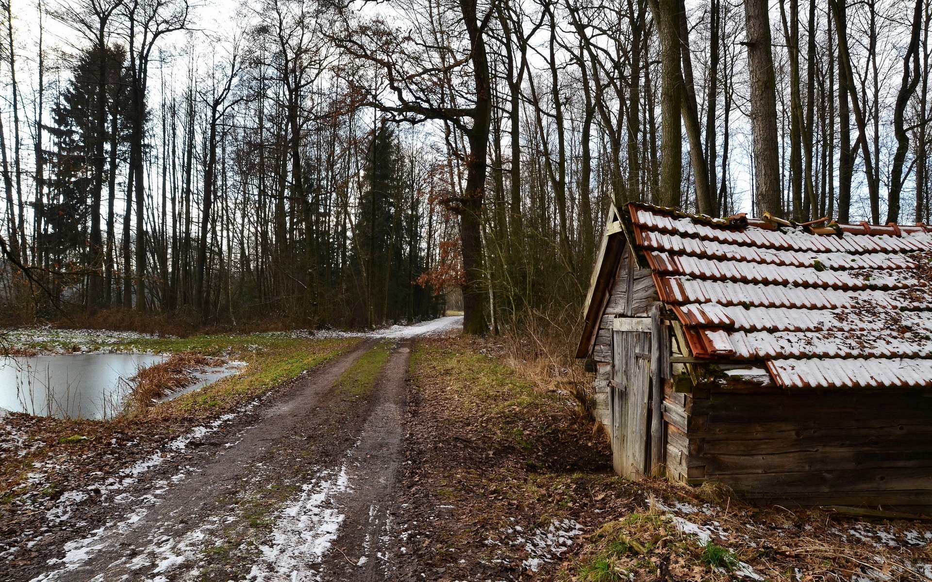 дом дорога лес