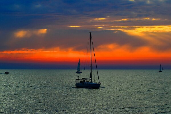 A sailing boat sails on the sea