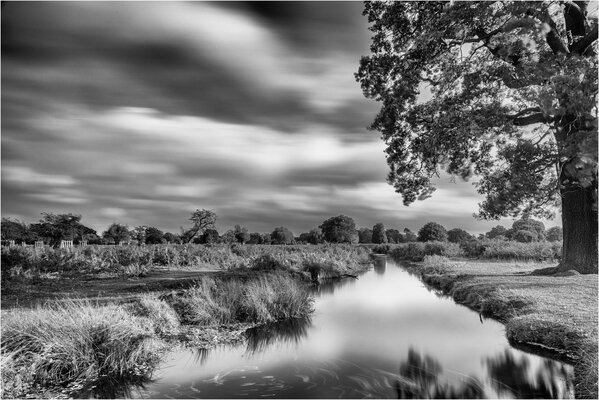 Imagen en blanco y negro de la naturaleza