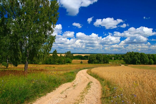 Hermoso paisaje de verano camino rural en el campo