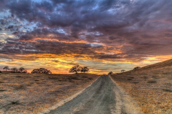 Boundless expanses of native fields