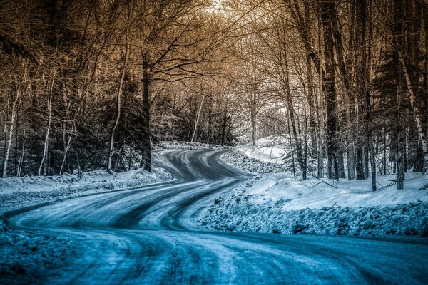 Camino a través del bosque de invierno