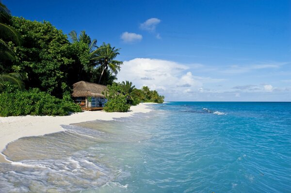 The hut stands on the seashore in the tropics