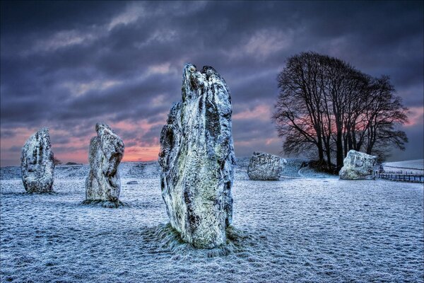 Megalithen und Bäume in Wiltshire, Großbritannien