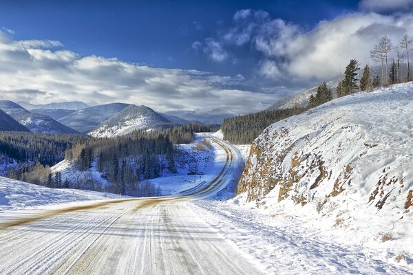 An empty snow-covered road along the forest