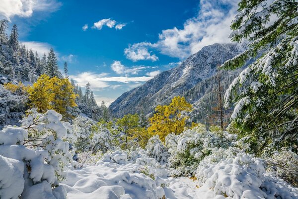 Goldene Herbstfarben in den schneebedeckten Bergen