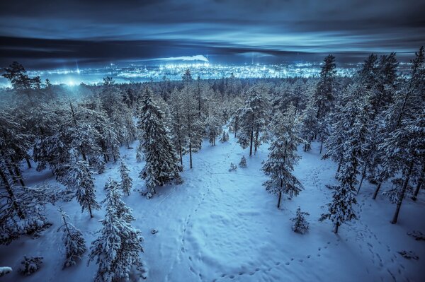 Ciudad de turno de noche a través del bosque de invierno