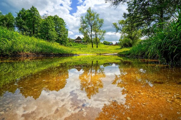 Rustic landscape by the lake and forest