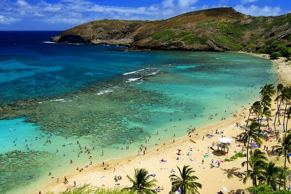 View of the white sand beach