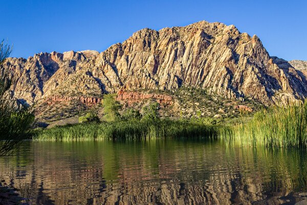 The lake reflects the grass and the mountainside