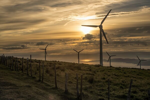 Windräder am Meer bei Sonnenuntergang