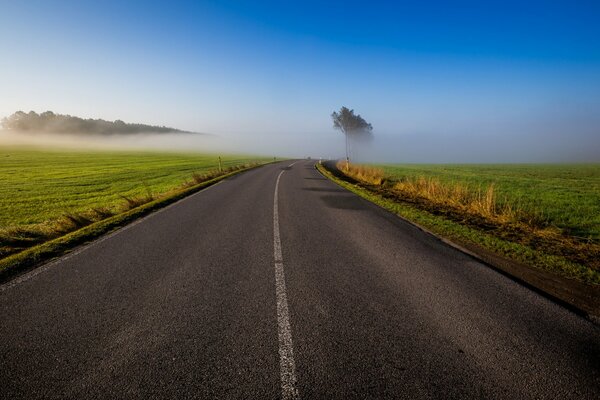 Morning fog in the field and beautiful sky