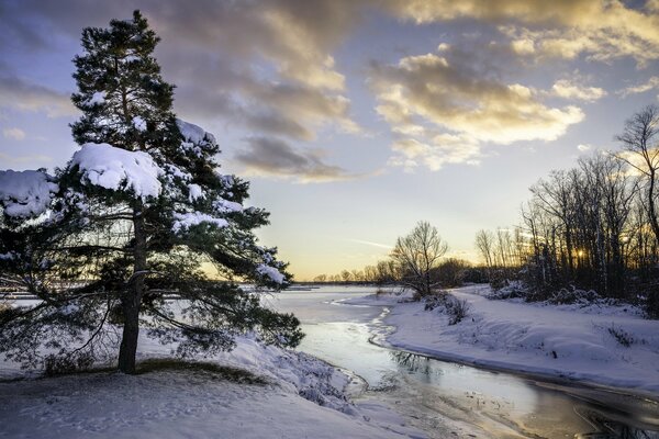 Es hora de invierno. Río y bosque