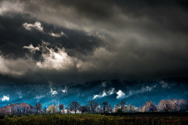 Paysage sur fond de ciel sombre