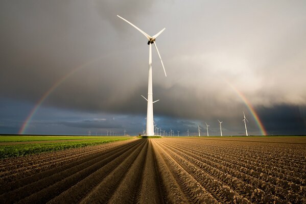 Campo con i mulini a vento. arcobaleno nel cielo