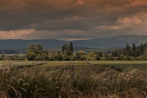 Beautiful fields near the mountains