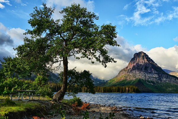 Paesaggio colorato dell albero vicino al Lago di montagna