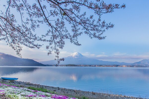 Landschaft mit Blick auf den Berg Fuji und den See