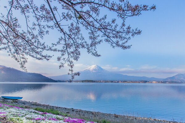 Paysage avec vue sur le Mont Fuji et le lac