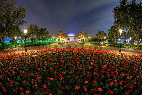 Evening, park, city flowerbed with flowers lanterns