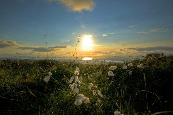 Paysage coucher de soleil sur la mer