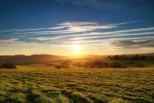 Dämmerung über dem grünen Feld