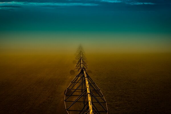 Night field in fog