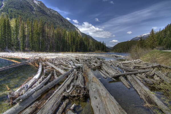 Logs floating on the river among the mountains