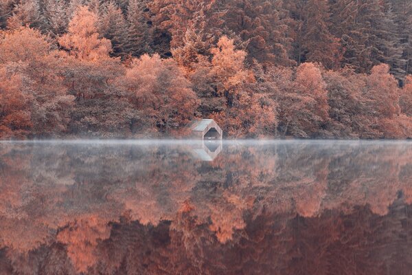Отражение деревьев и склона в озере