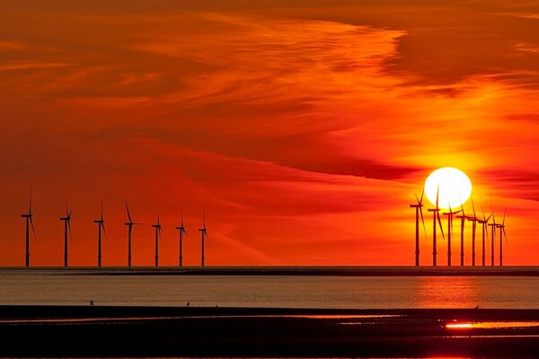 Windmills and the setting sun behind them