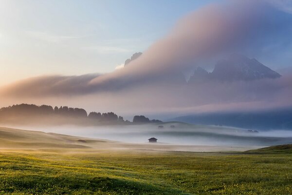 Beautiful fog in the Italian field