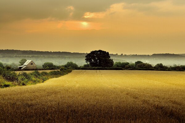 England , Gloucestershire. Haus in einem Feld unter Bäumen. Morgen, Morgendämmerung