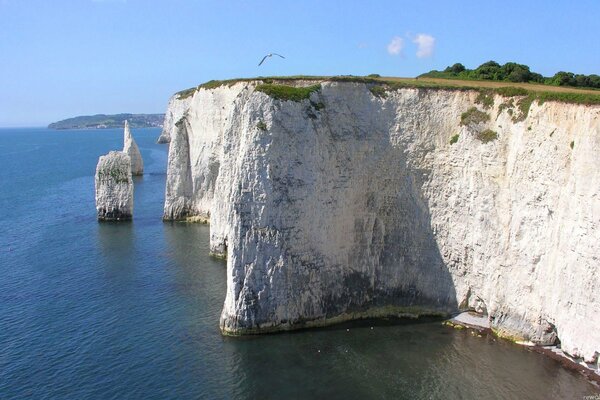 A bird hovering over a rock and the sea