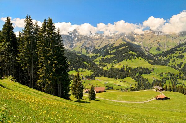 Prati e montagne svizzeri con case rustiche