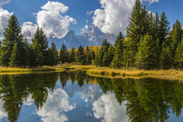 Riflessione di alberi e nuvole nell acqua