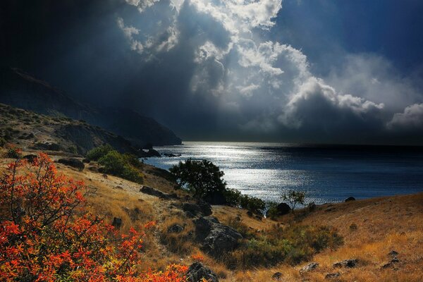 The sea coast in cloudy weather