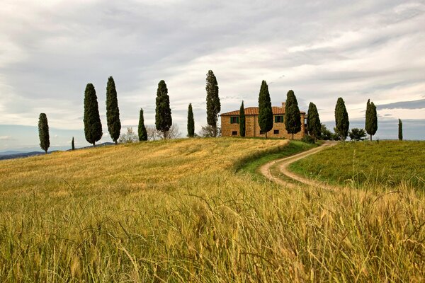 The road to the house passing through the field