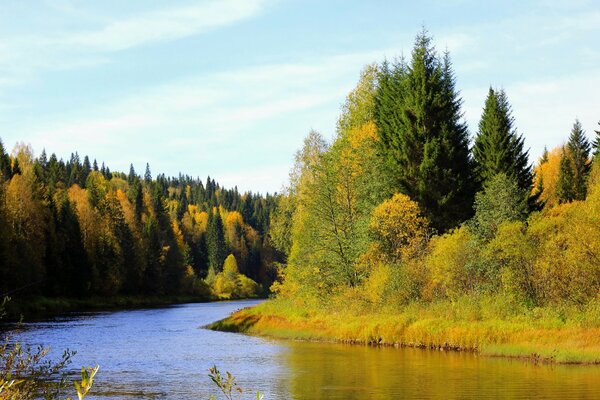 Fluss vor dem Hintergrund des Herbstwaldes in der Region Perm