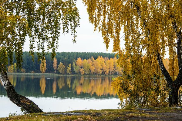 La orilla del lago otoñgo bosque