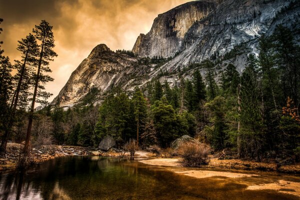 Mountains forest nature beautiful view