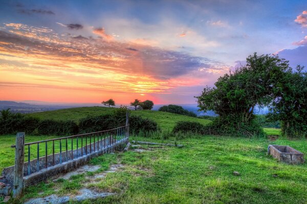 Trees on the background of a beautiful sunset