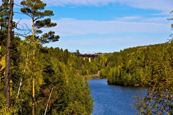 River along the forest, overlooking the railway