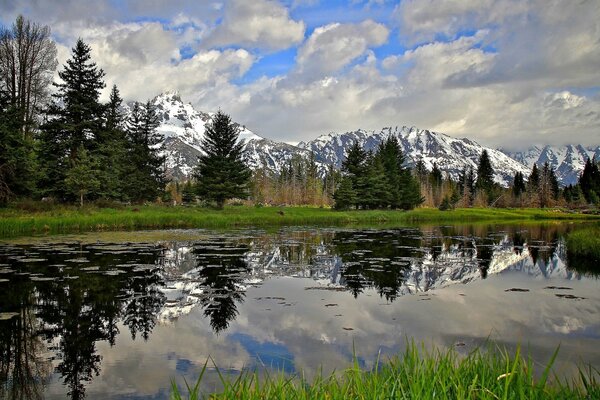 Montañas y un lago rodeado de bosques